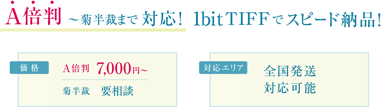 菊半裁 〜A倍判まで対応！  1bit TIFFでスピード納品！