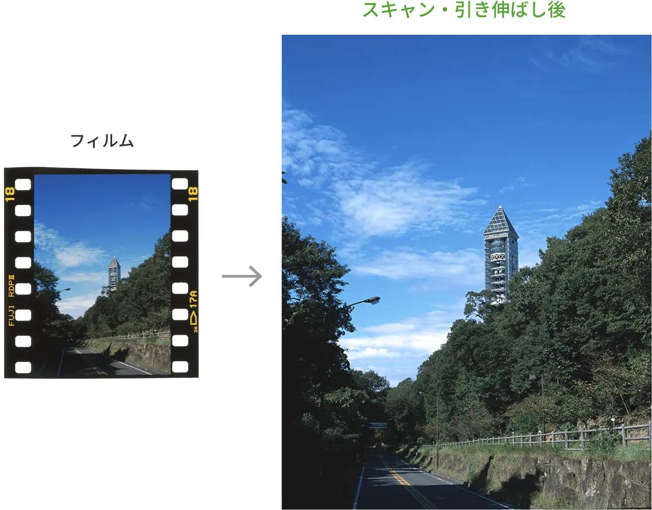 写真：デジタル化